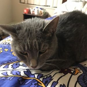 Meet your Posher, Andrew